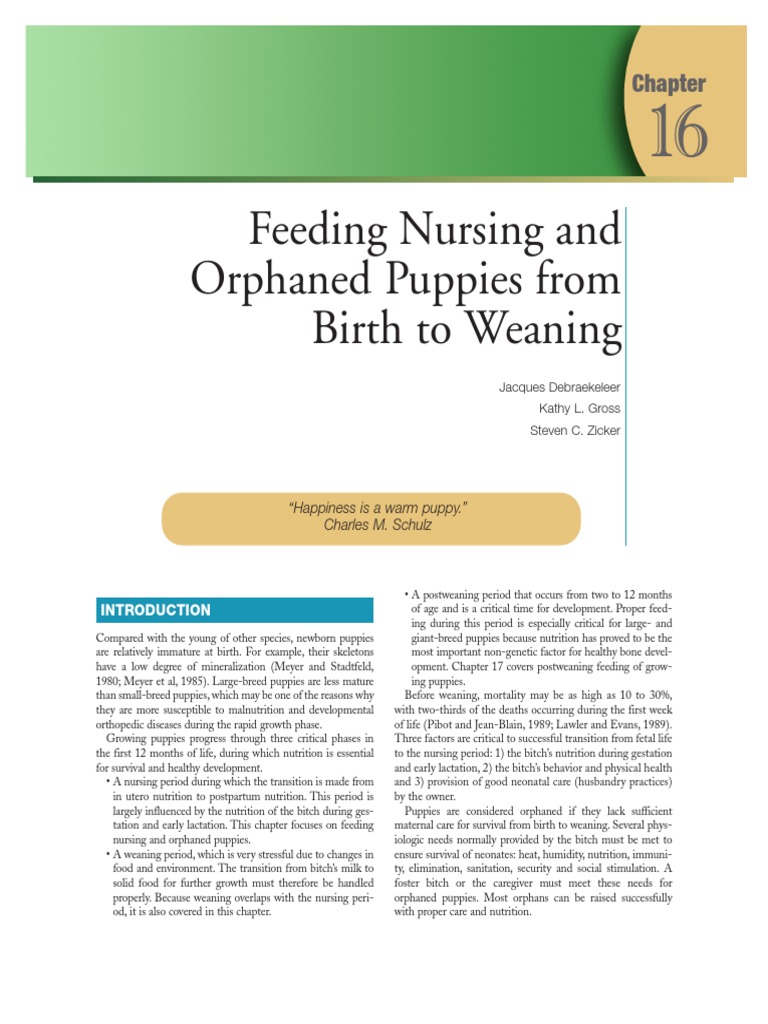 Small Animal Clinical Nutrition PDF Hypothermia Hypoglycemia