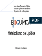 Metabolismo Dos Lipideos