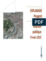 PP Reunion Publique Esplanade Mars 2015 PDF