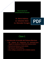 Micro y Macro Anatomia Del SNC