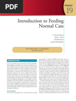 Small Animal Clinical Nutrition 5th | Nutrients | Calorie