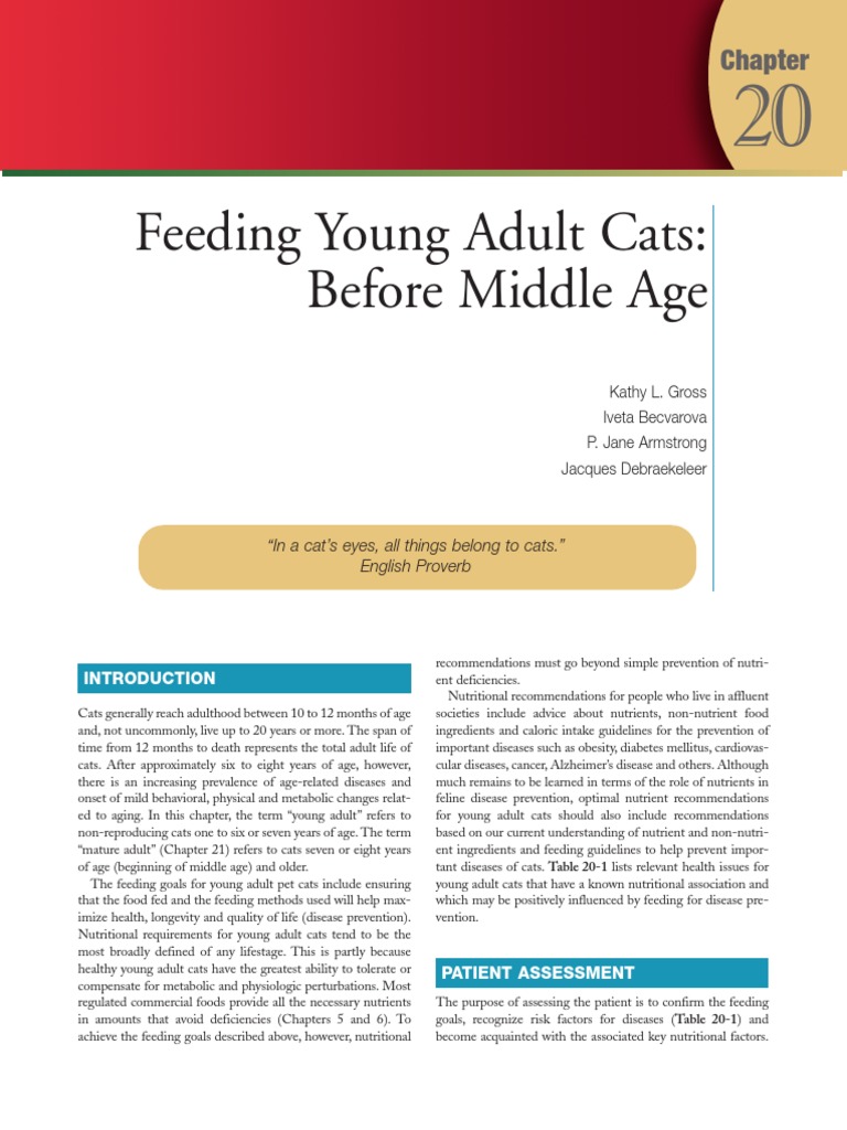 Small Animal Clinical Nutrition PDF Vitamin E Antioxidant