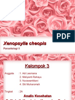 Parasitologi Praktek Xeno. C Kel 3