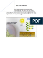 Fertilizacion Foliar en Vides[1]