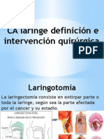 CA laringe definición e.pptx
