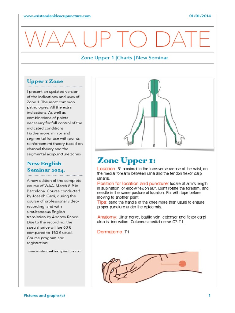 Wrist and Ankle Acupuncture Anatomical Terms Of Motion Diseases And