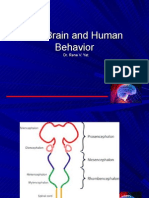 Brain &amp Human Behaviour