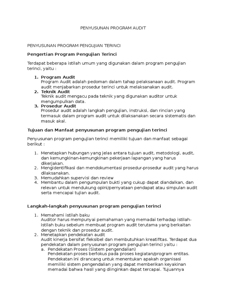Program Audit Operasional Gudang RSUD | PDF