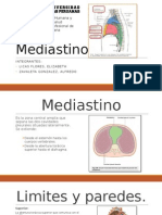 Mediastino: estructuras y divisiones