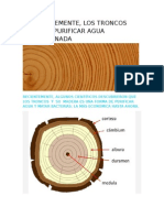 Increíblemente Filtracion Dela Madera