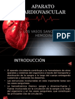 Aparato Cardiovascular