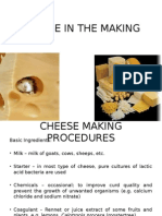 Cheese in The Making
