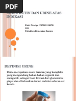 Download Urine Rutin Dan Urine Atas Indikasi by Putri Natalya SN282983767 doc pdf