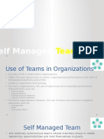 Self Managed Teams