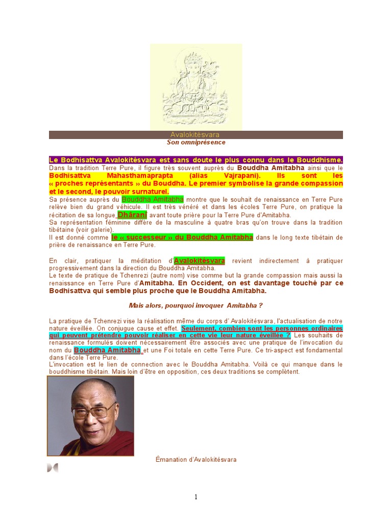 Le Bodhisattva Avalokitesvara Est Sans Doute Le Plus Connu Dans Le Bouddhisme Bodhisattva Siddhartha Gautama