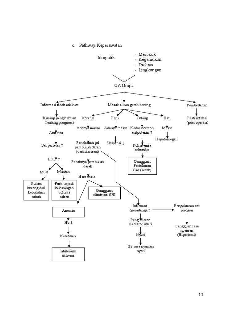 PATHWAY Kanker Ginjal