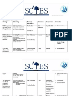 Scibs Strategic Plan 2015 Final Version