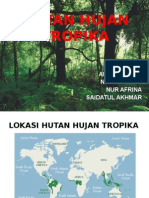 Hutan Hujan Tropika Update