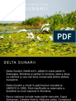 'Delta Dunarii