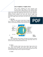 Rangkuman Alat Indera Pada Manusia