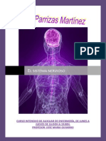 El Sistema Nervioso PDF