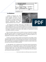 evaluacion pac periodo 3 4° basico 2015 imprimir