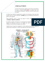 El Aparato Circulatorio