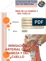 Arterias de Cabeza y Cuello