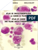 Atlas of Canine and Feline Oncocytomorphology