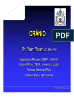 Crânio