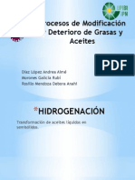 Procesos de Modificación y Deterioro de Grasas y Aceites - Díaz López Aimé, Morones Galicia Rubí, Rosillo Mendoza Debora