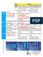 Tabla Comparativa Mitosis y Meiosis