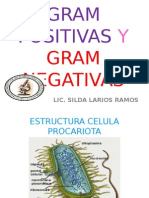 Bacterias Gram Pos y Gram Neg MED I 2013