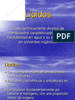 Lipidos Funciones Generales