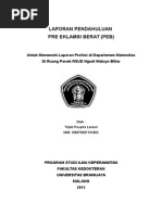 Download LP PEB by Pipidh Cupidd SN283065771 doc pdf