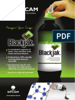Blackjak Brochure PDF