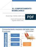 Biomecanica Cartilago