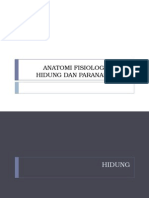 Anatomi Fisiologi Hidung & Paranasal