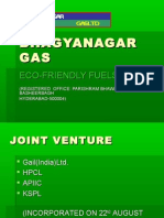 Bhagayanagar Gas Limited