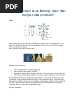 Download Apakah Fungsi Akar Batang Daun Dan Bunga Pada Tanaman by Alrahman Joneri SN283101240 doc pdf