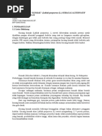 Download kacang komak by sulfiraariyanti SN283101772 doc pdf