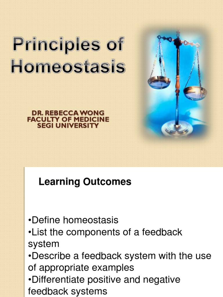 Principles of Homeostasis Homeostasis Physiology