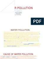 Water Pollution: Causes - Effect.Prevention Group