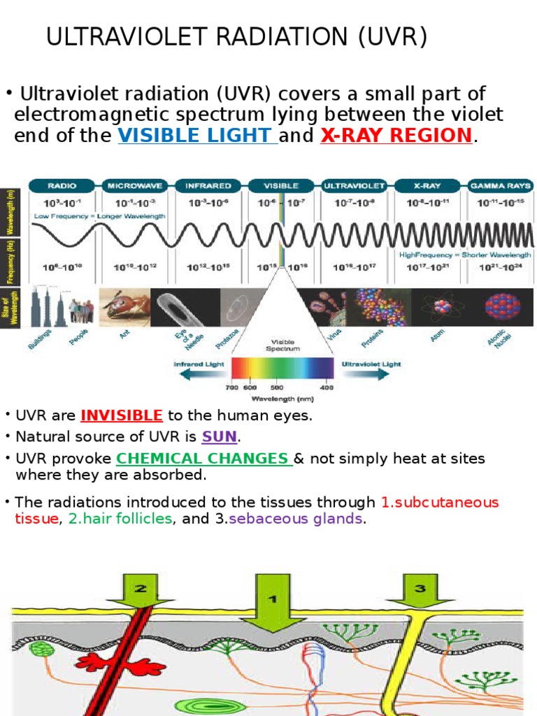 Ultravoilet Rays | PDF | Ultraviolet | Clinical Medicine