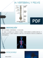 Columna Vertebral y Pelvis