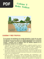 Diapositiva Cadena y Redes Troficas