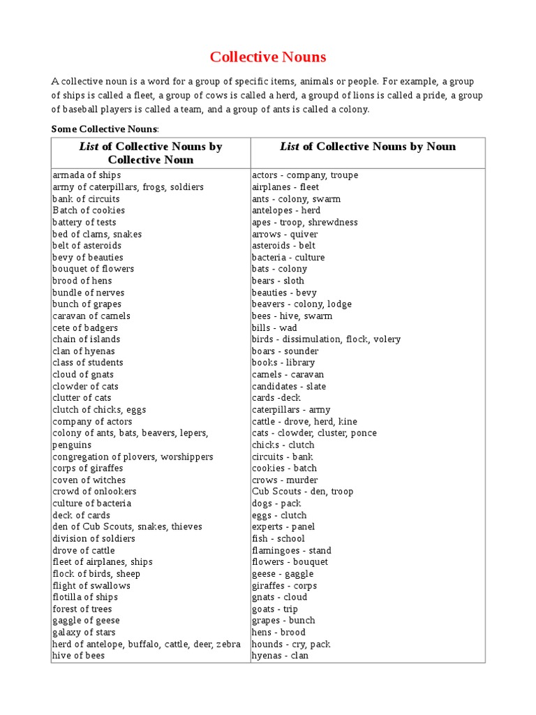 Collective Nouns Lion Calf