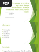 Vinculando as Práticas Agrícolas, Fungos Micorrízicos.