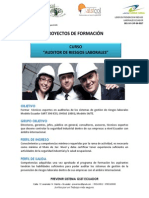 Curso Auditor Riesgos