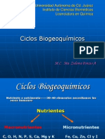 Ciclos Biogeoquìmicos